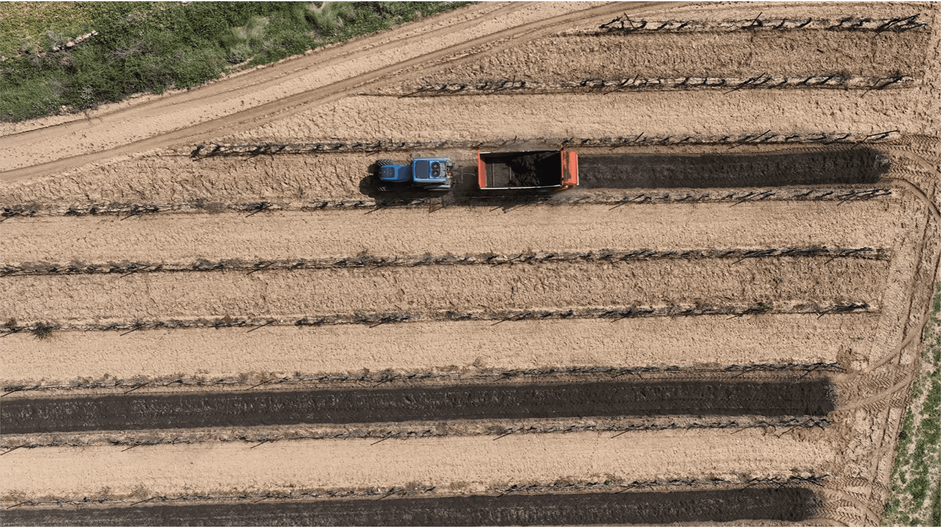 épandage de compost durable dans les vignes